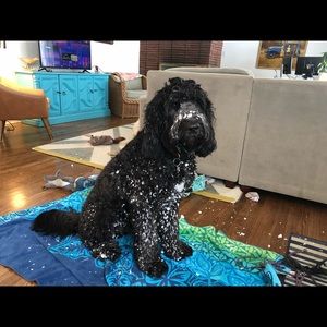 Meet your Posher, Whitney